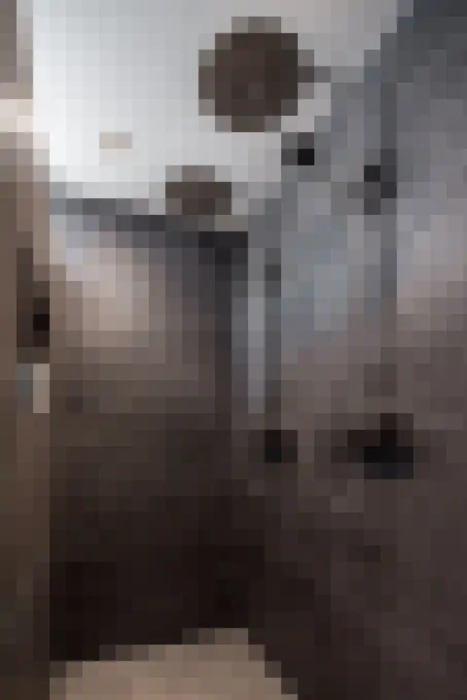Postweid 17 Venhuizen thumbnail 57