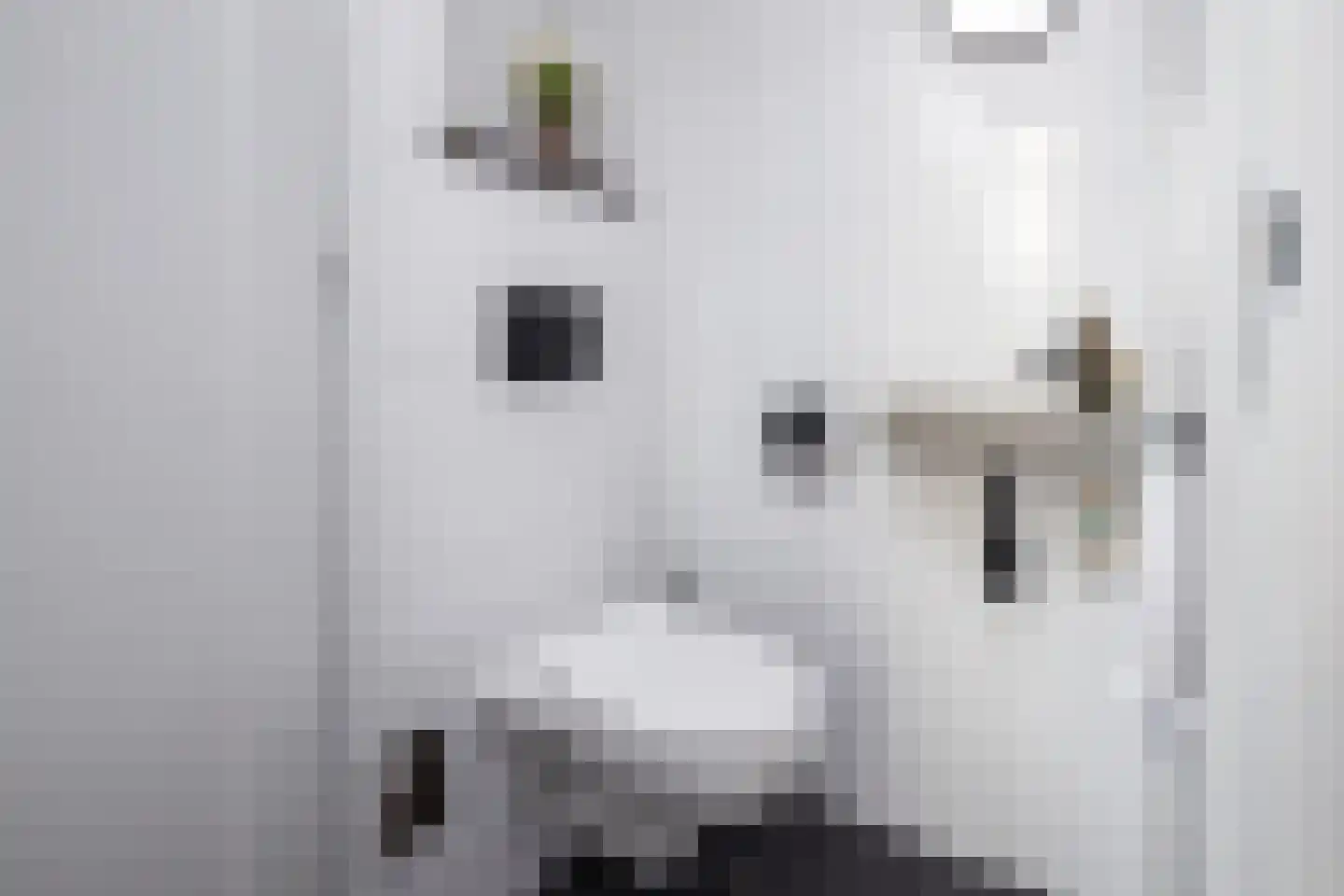 Postweid 17 Venhuizen thumbnail 8