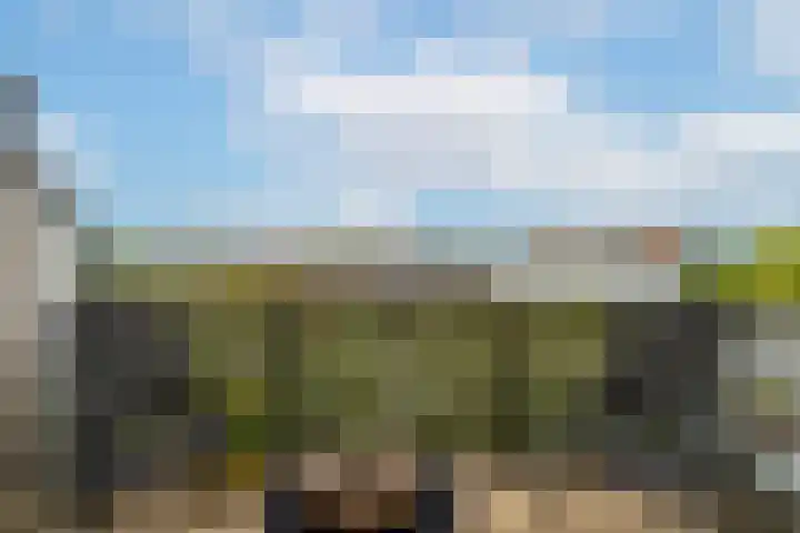 Postweide 131 Woudrichem thumbnail 13