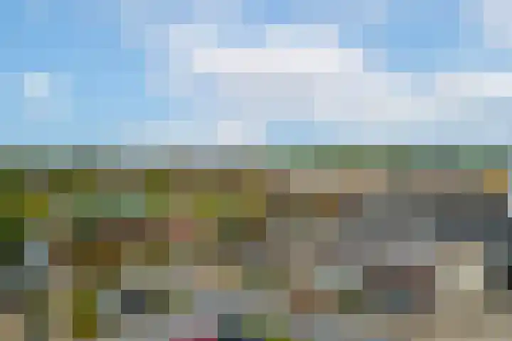 Postweide 131 Woudrichem thumbnail 22