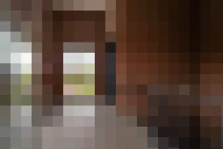 Postweide 131 Woudrichem thumbnail 28