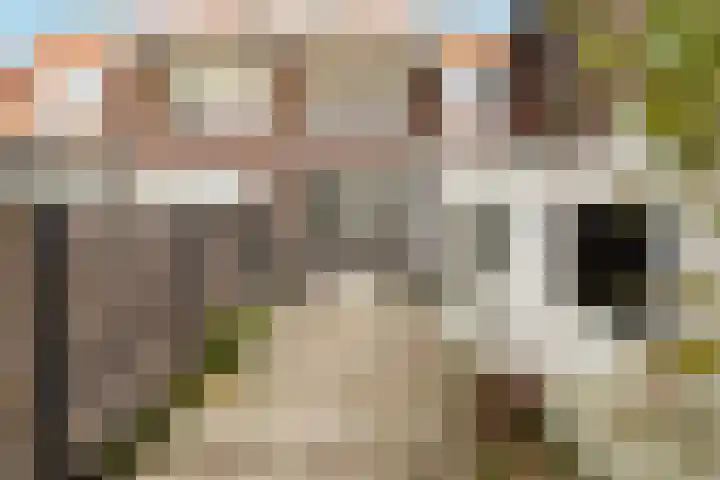 Postwijkkade 11 Sassenheim thumbnail 32
