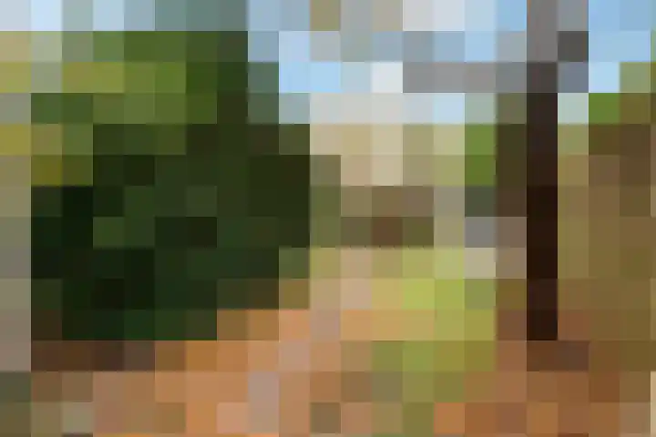 Postwijkkade 11 Sassenheim thumbnail 33