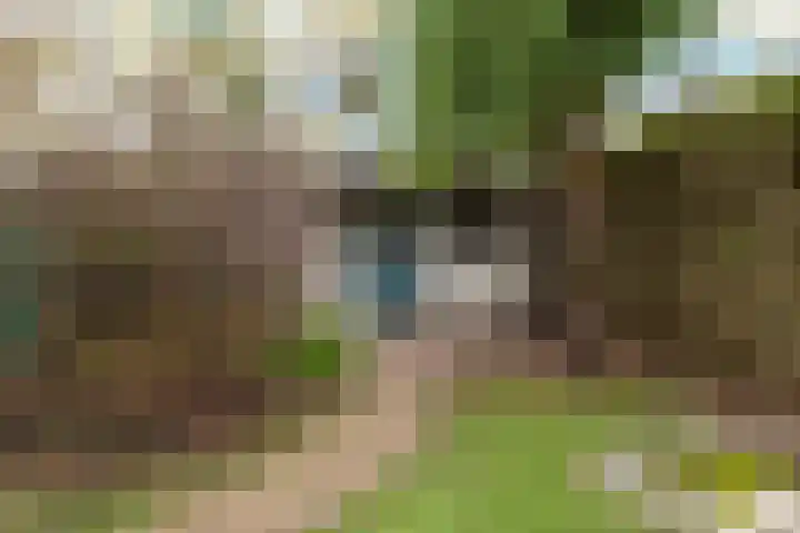 Postwijkkade 11 Sassenheim thumbnail 34