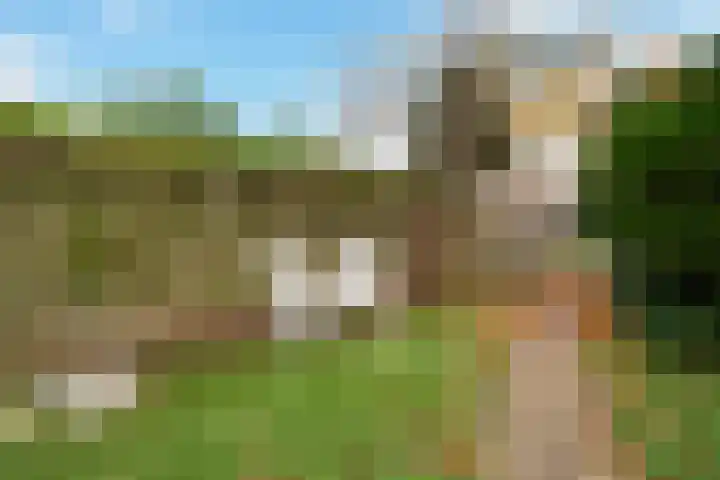 Postwijkkade 11 Sassenheim thumbnail 35