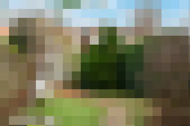 Postwijkkade 11 Sassenheim thumbnail 36