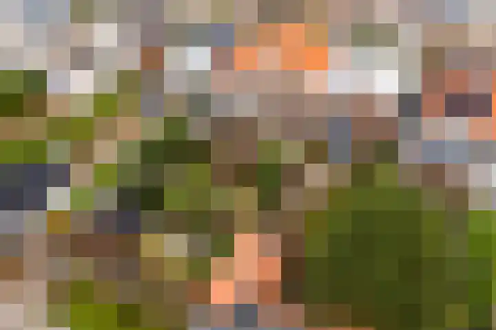 Postwijkkade 11 Sassenheim thumbnail 38