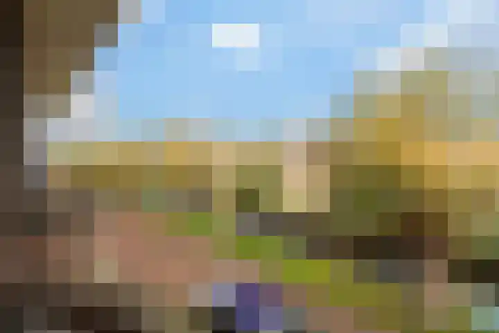 Postwijkkade 11 Sassenheim thumbnail 48