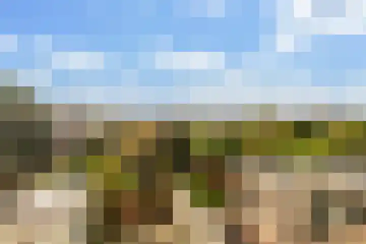 Postwijkkade 11 Sassenheim thumbnail 5