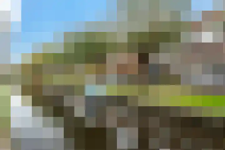 Postwijkkade 11 Sassenheim thumbnail 6