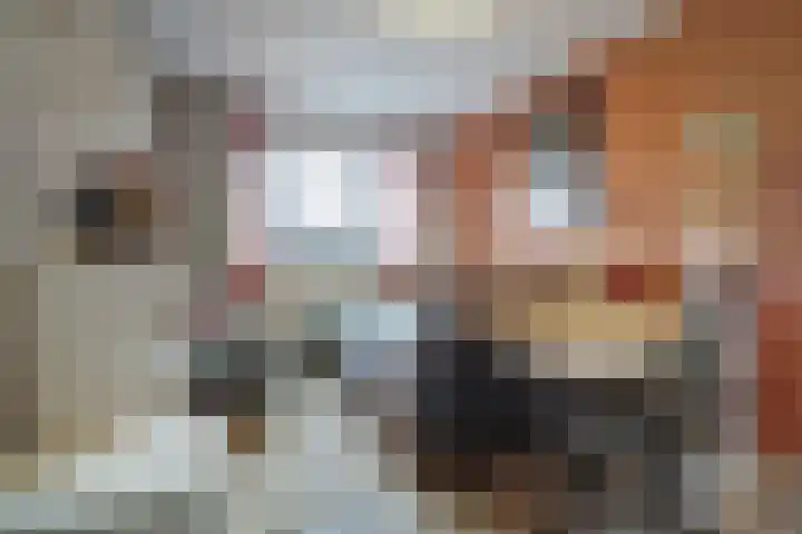 Posweg 81 Hoogvliet Rotterdam thumbnail 16