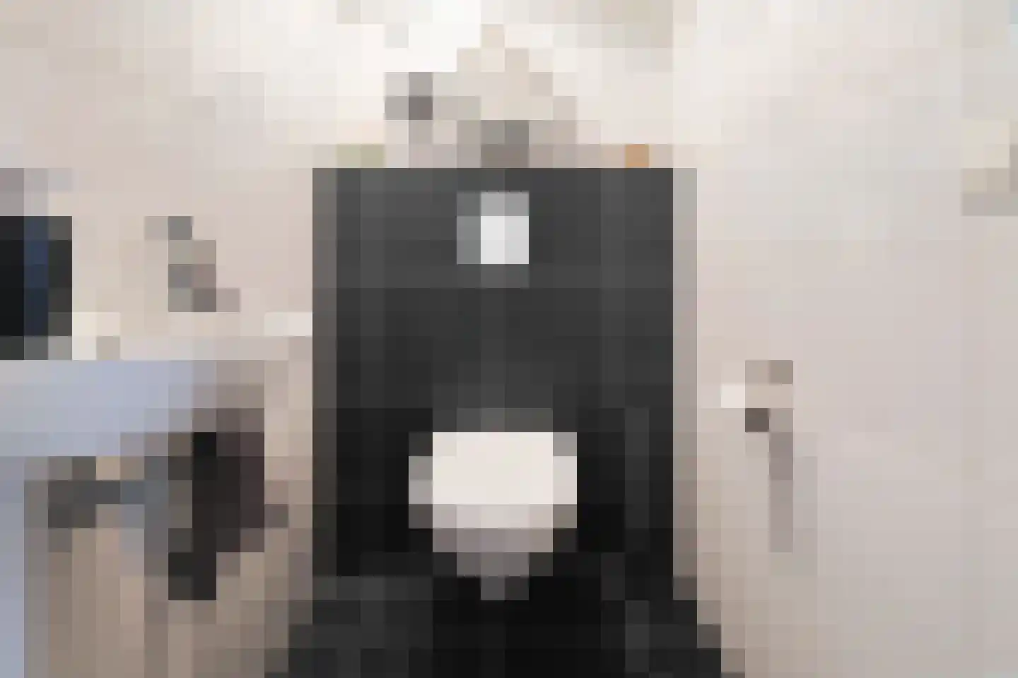 Potakker 14 Alkmaar thumbnail 10