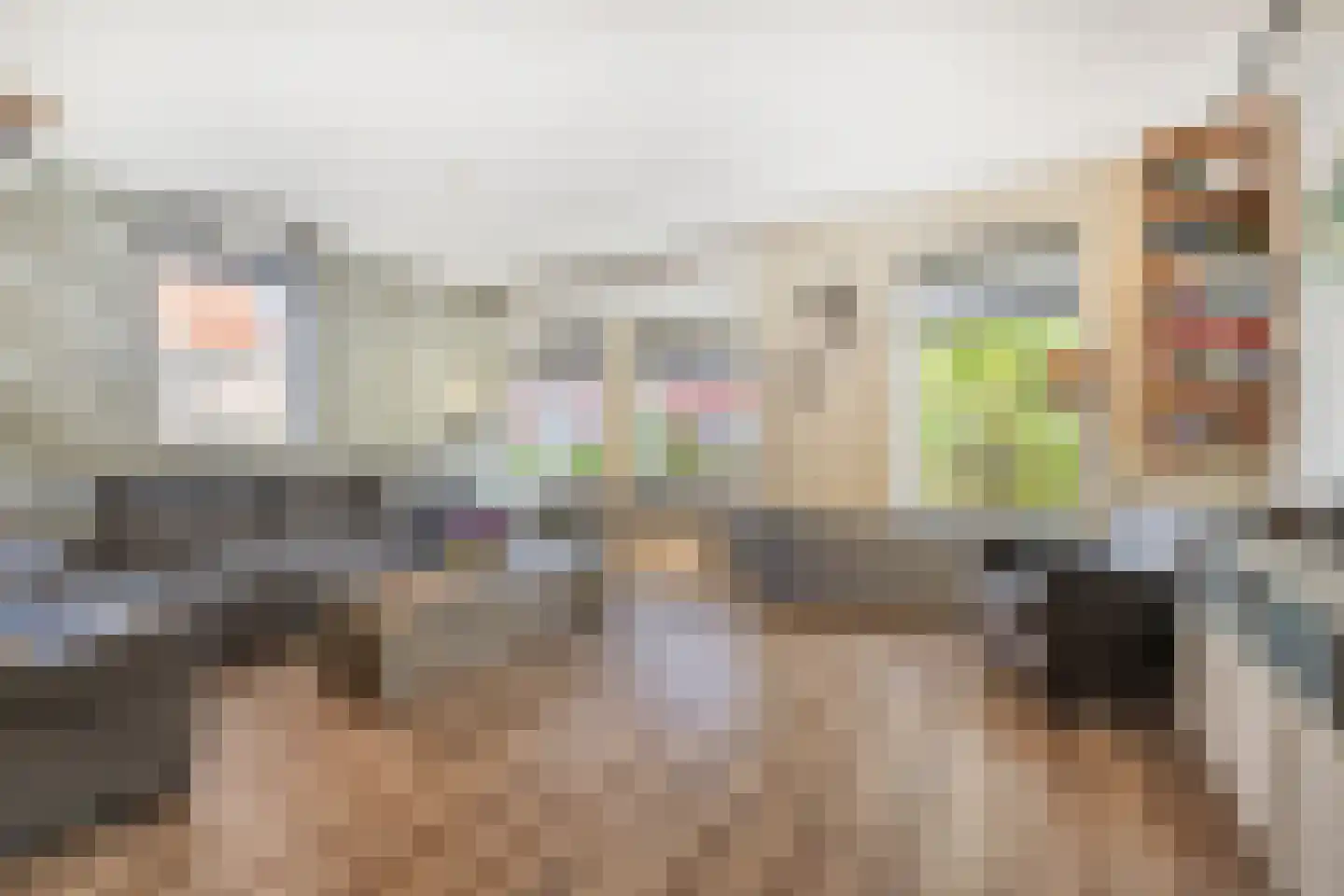 Potakker 14 Alkmaar thumbnail 12
