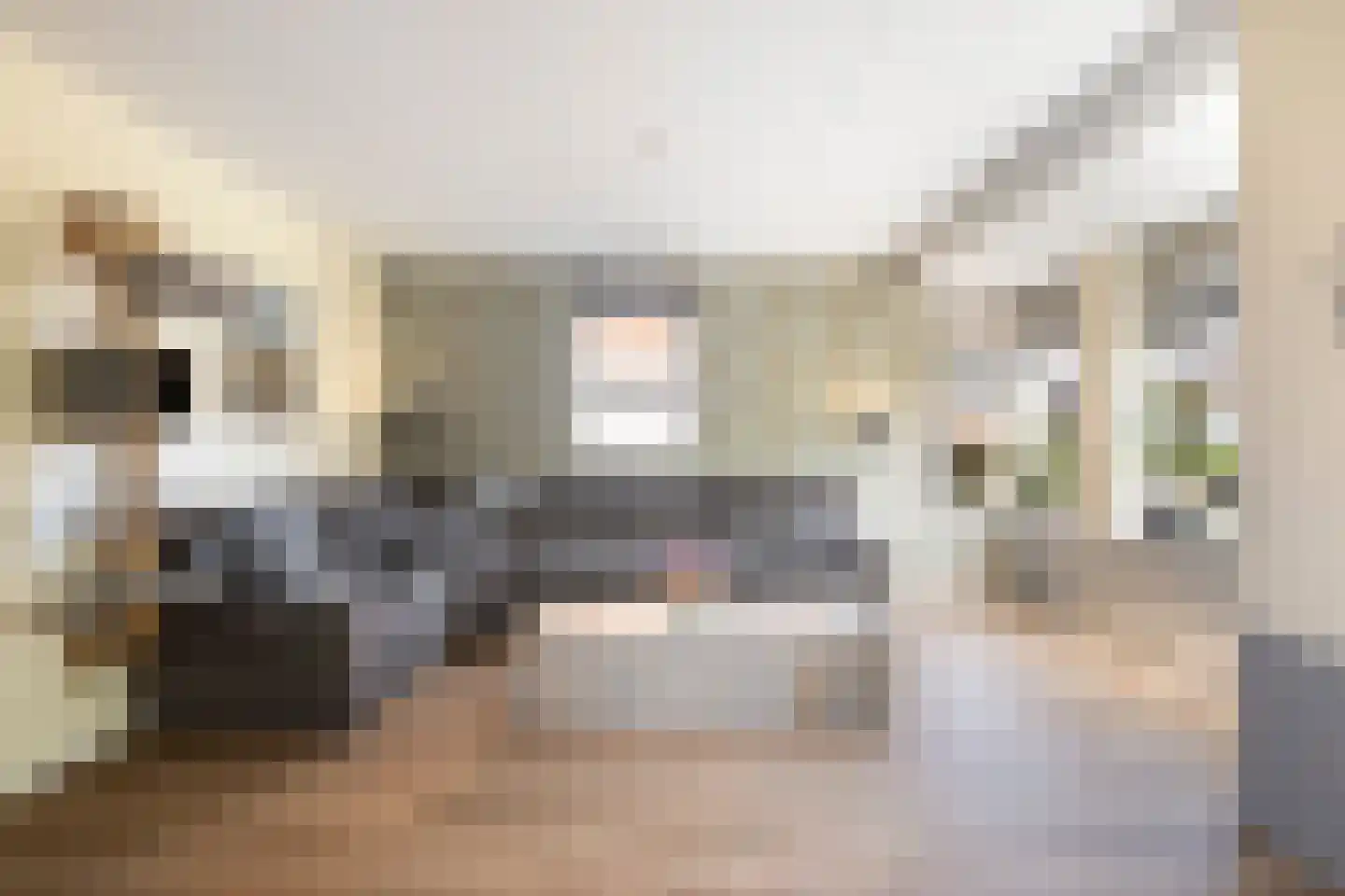 Potakker 14 Alkmaar thumbnail 13