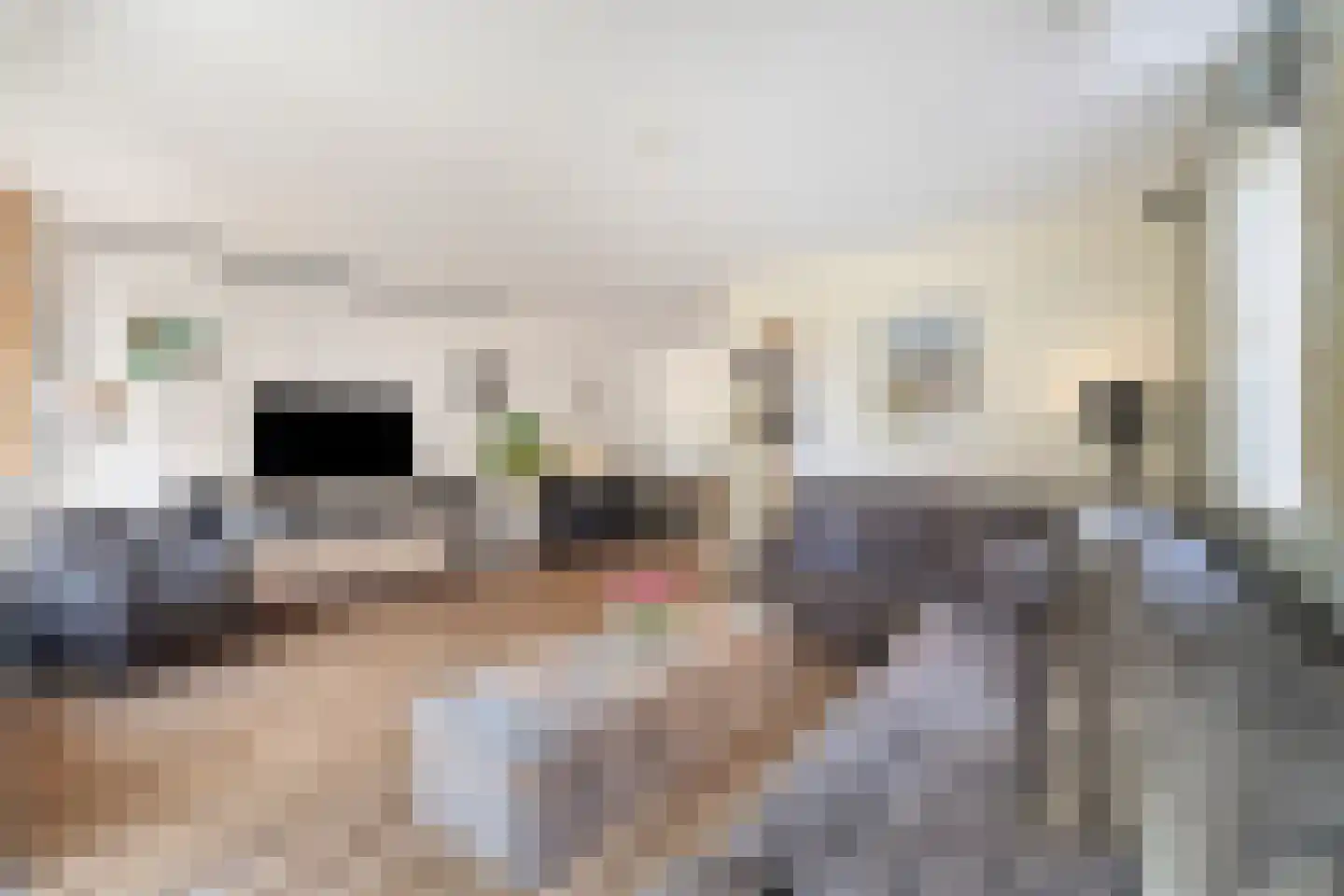 Potakker 14 Alkmaar thumbnail 14