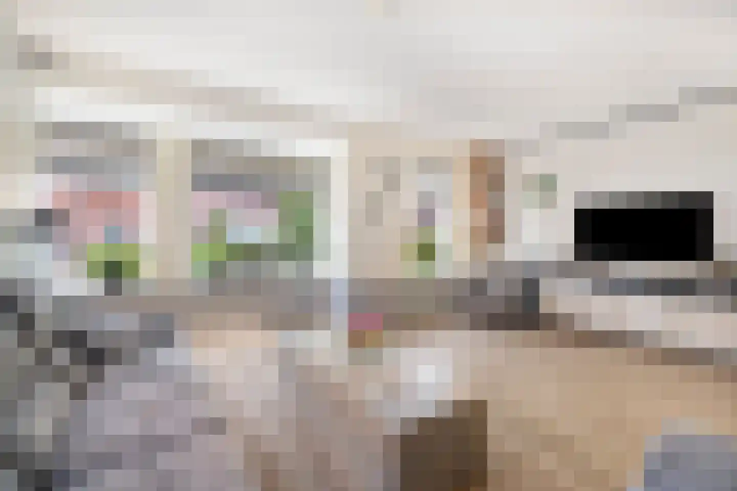Potakker 14 Alkmaar thumbnail 15