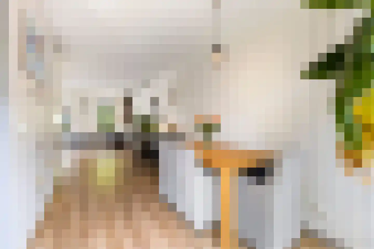 Potakker 14 Alkmaar thumbnail 18
