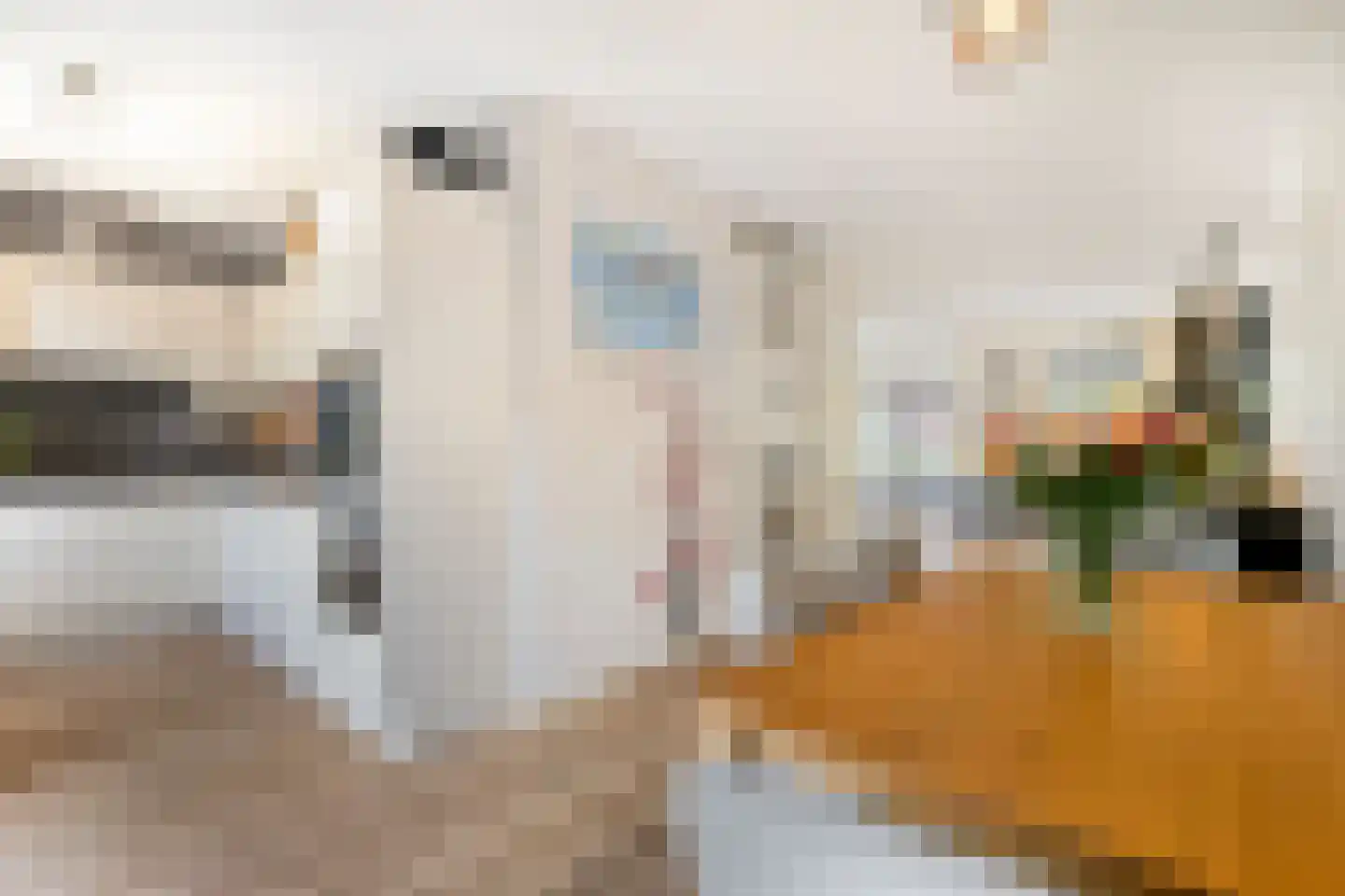 Potakker 14 Alkmaar thumbnail 19