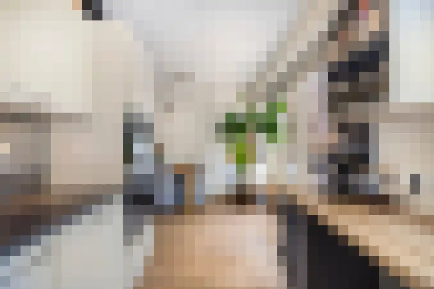 Potakker 14 Alkmaar thumbnail 23