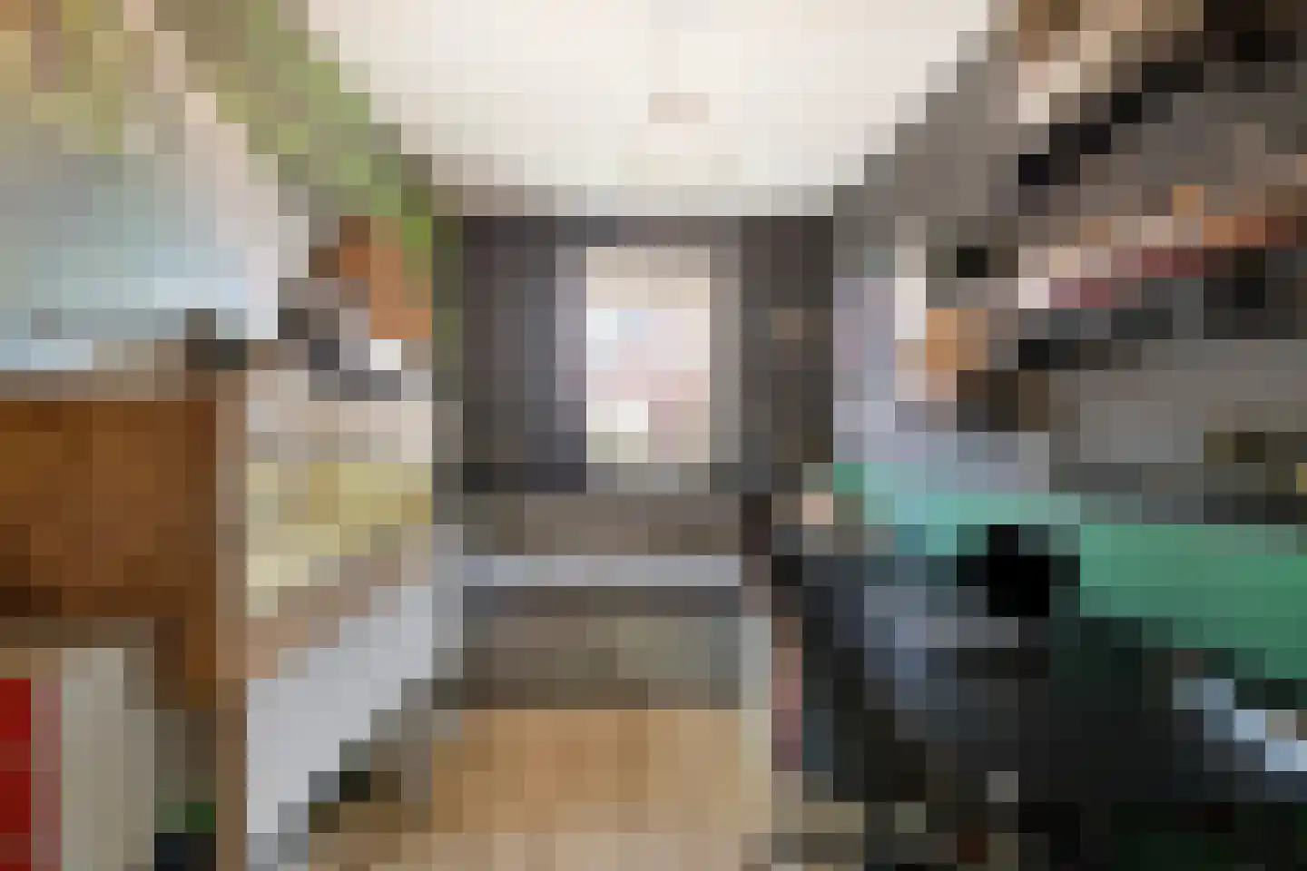 Potakker 14 Alkmaar thumbnail 27