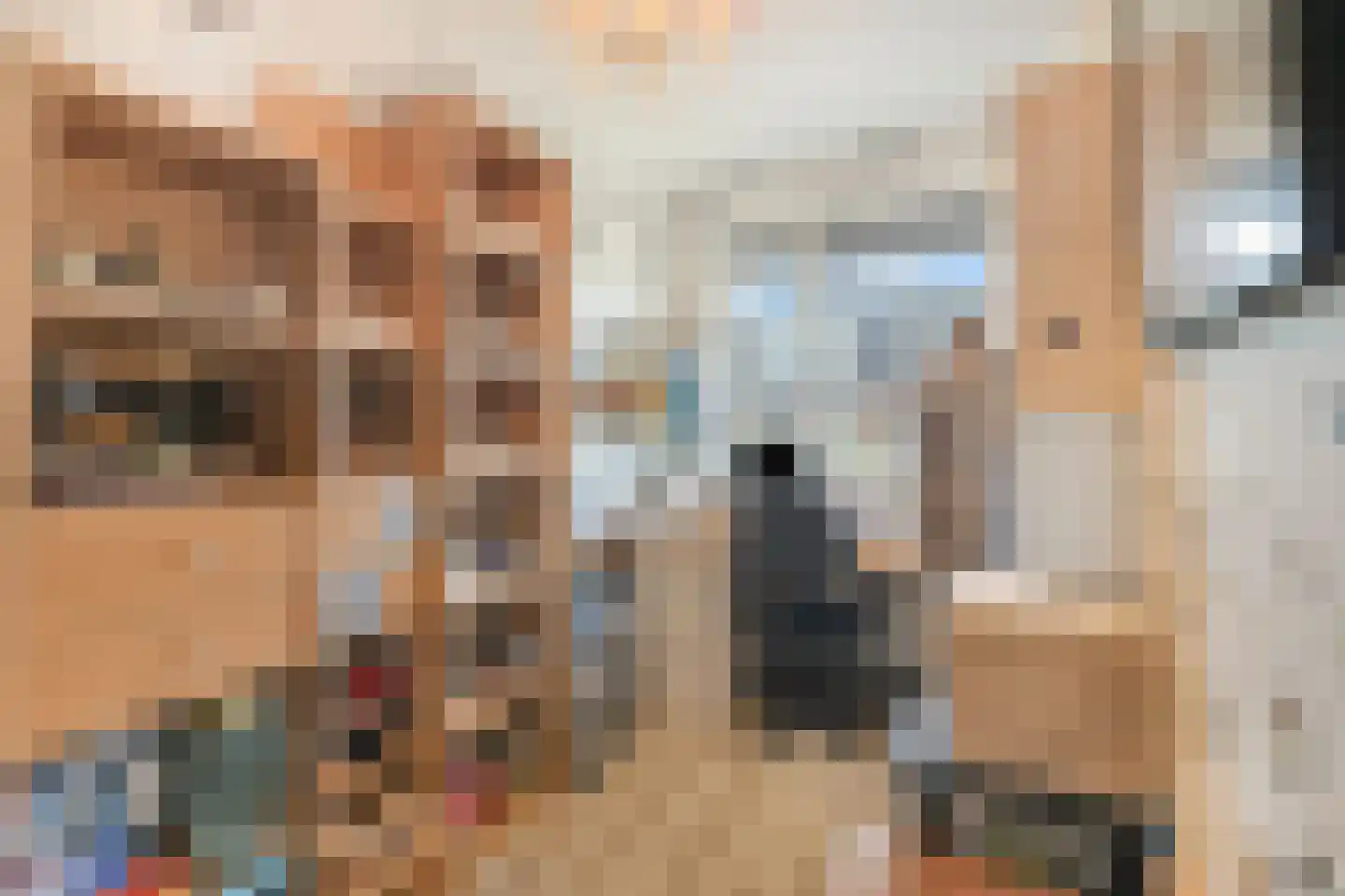 Potakker 14 Alkmaar thumbnail 29