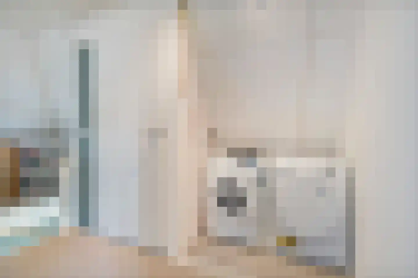 Potakker 14 Alkmaar thumbnail 34