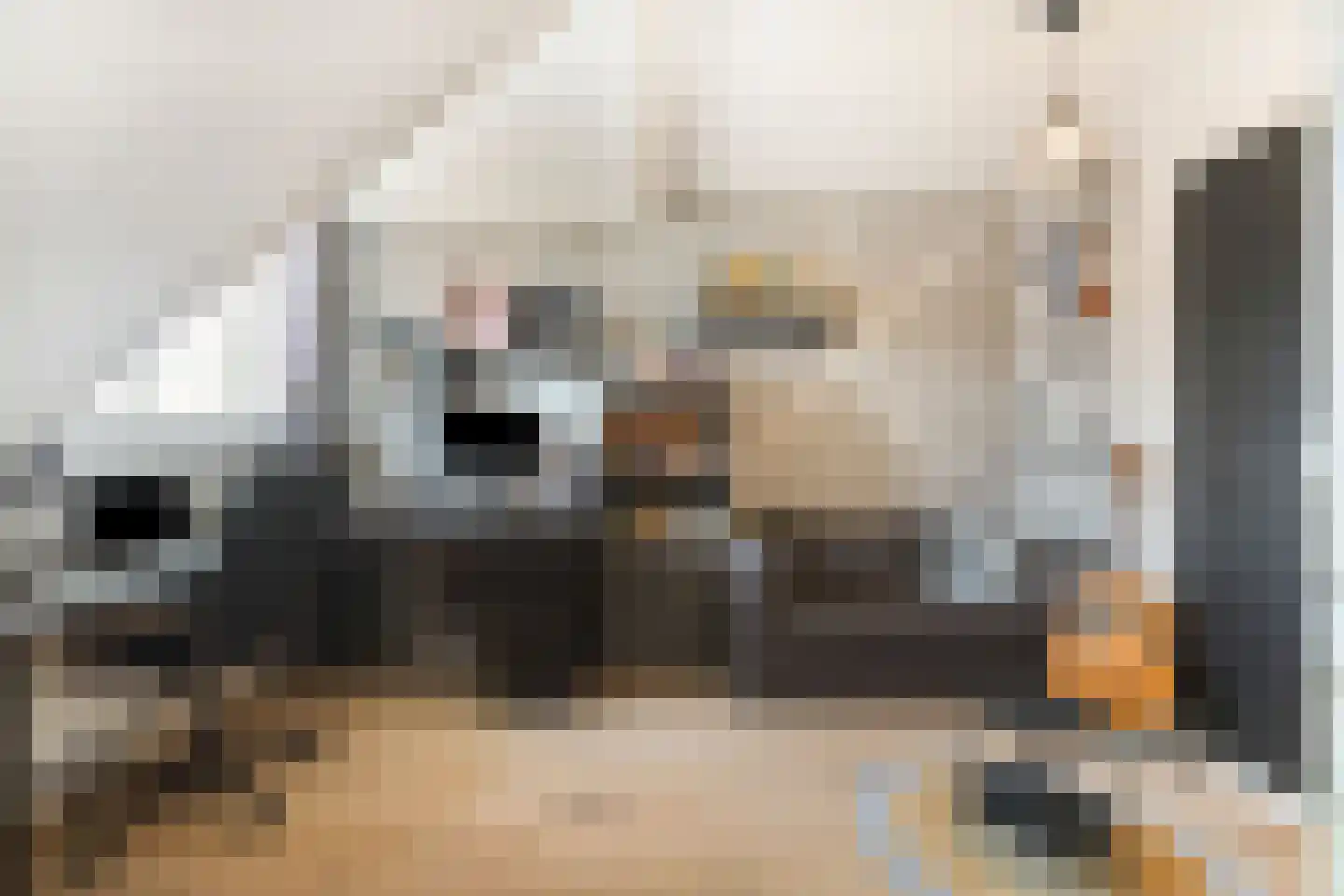 Potakker 14 Alkmaar thumbnail 36