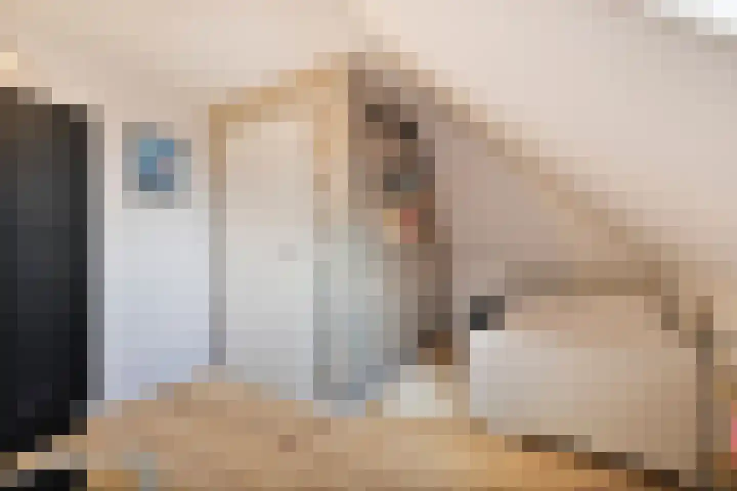 Potakker 14 Alkmaar thumbnail 37