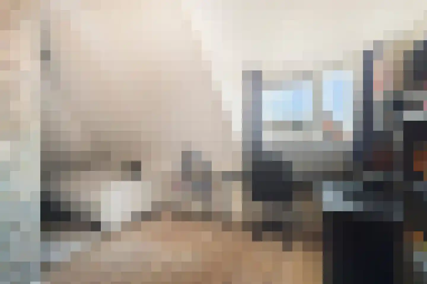 Potakker 14 Alkmaar thumbnail 38