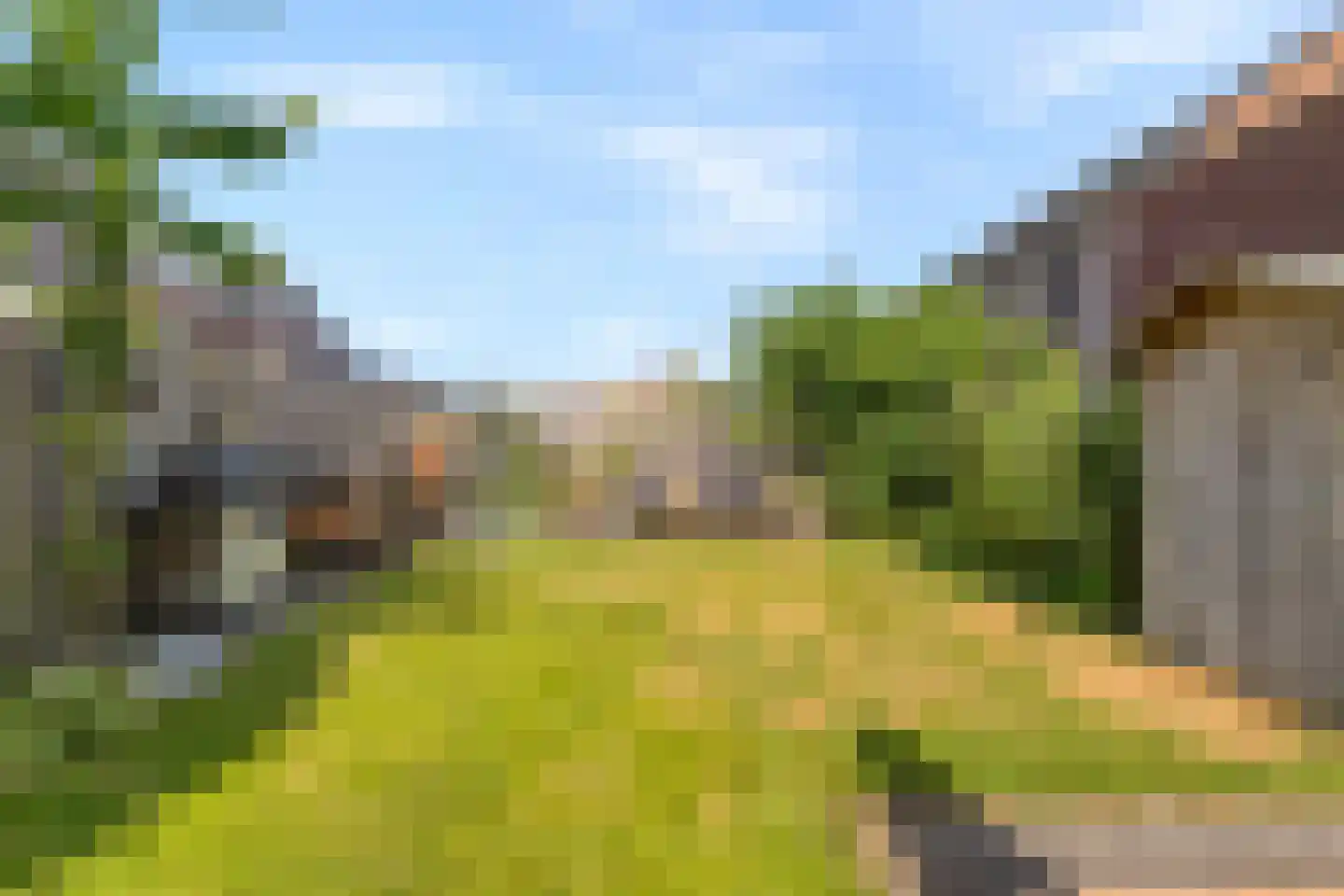 Potakker 14 Alkmaar thumbnail 41