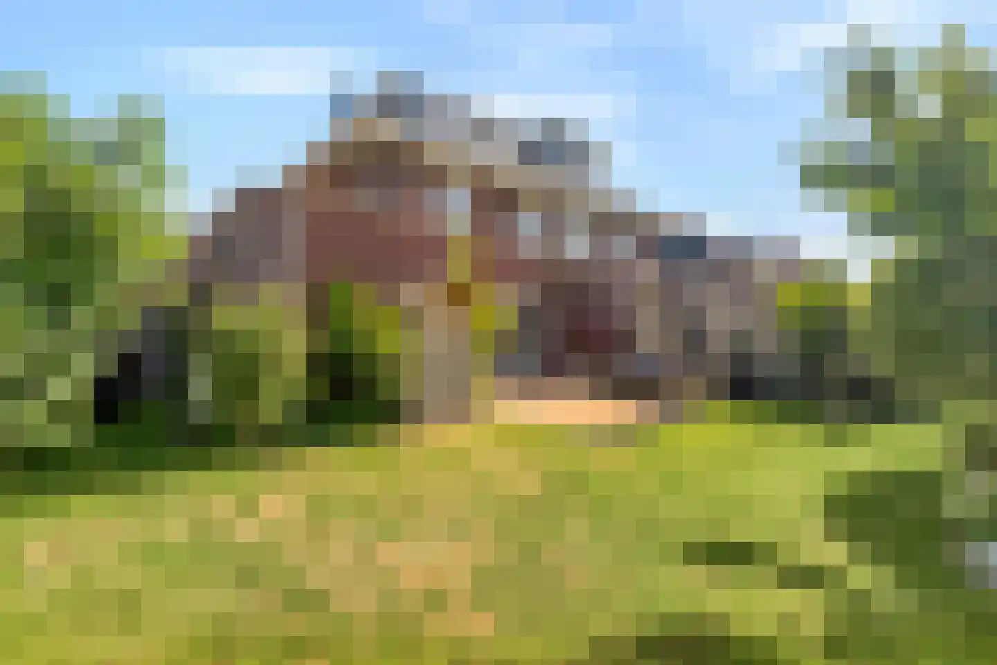 Potakker 14 Alkmaar thumbnail 43