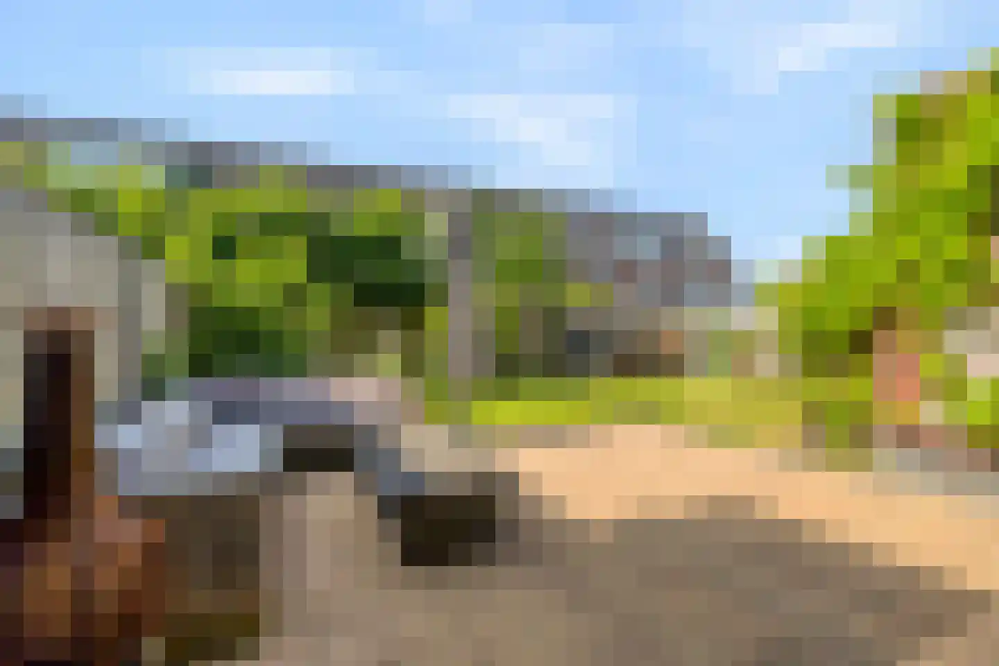 Potakker 14 Alkmaar thumbnail 5