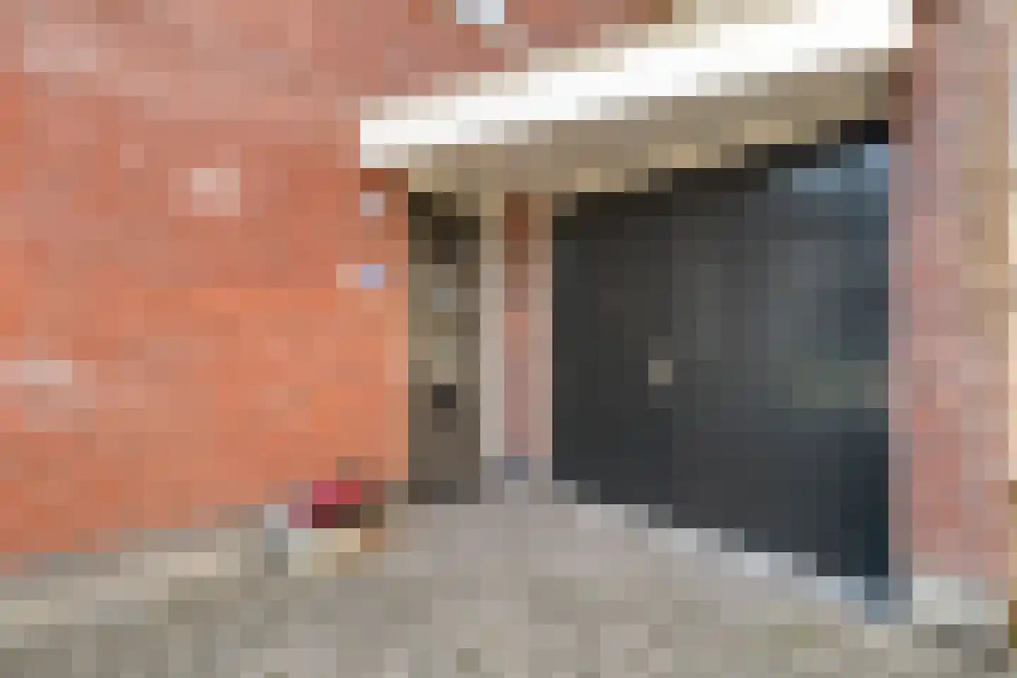 Potakker 14 Alkmaar thumbnail 8