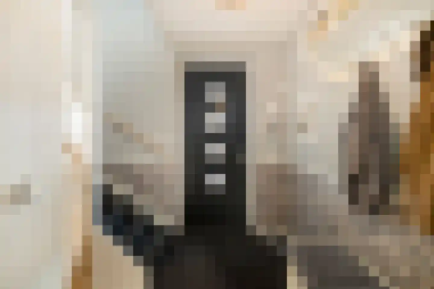 Potakker 14 Alkmaar thumbnail 9