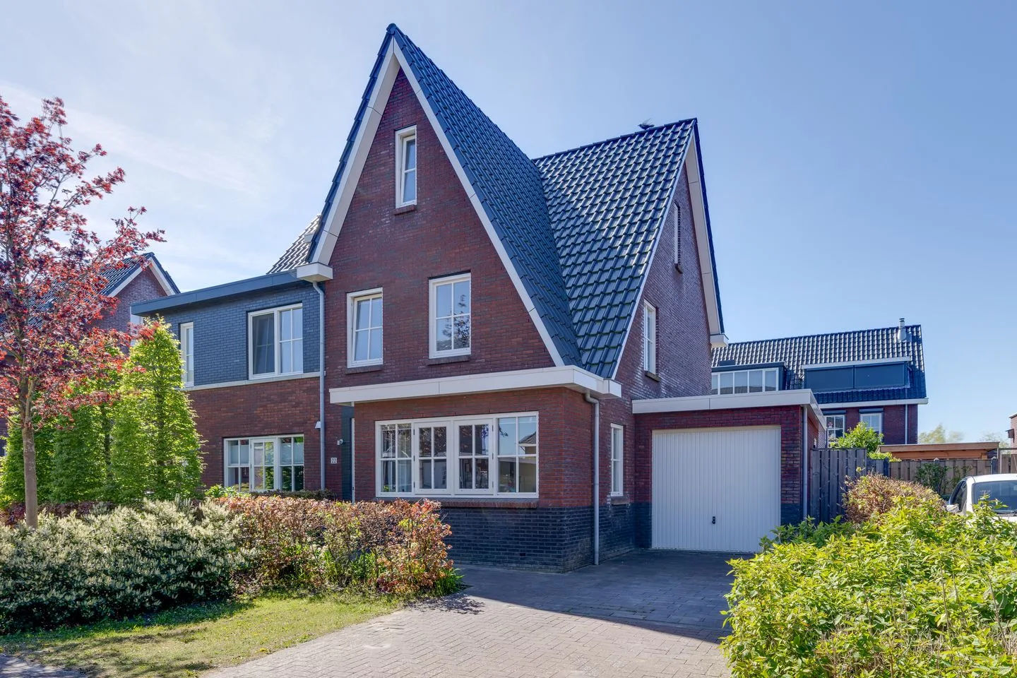 Potakker 22 in Alkmaar