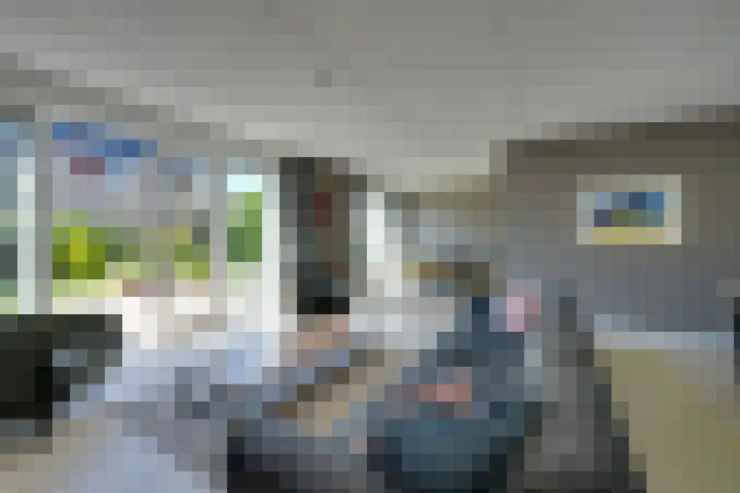 Potakker 22 Alkmaar thumbnail 10