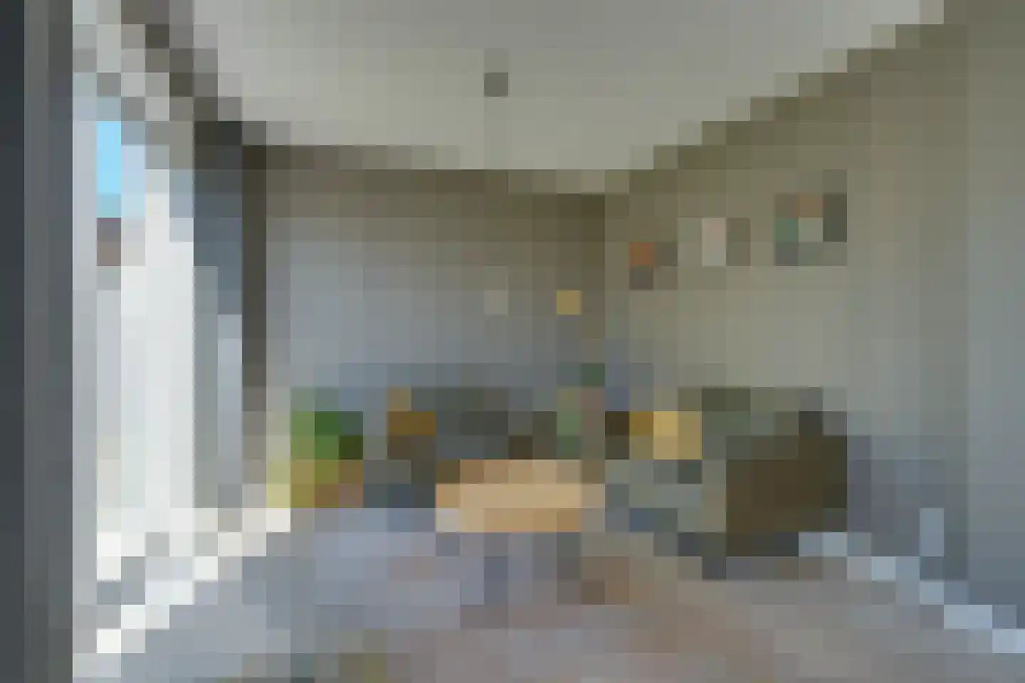 Potakker 22 Alkmaar thumbnail 14