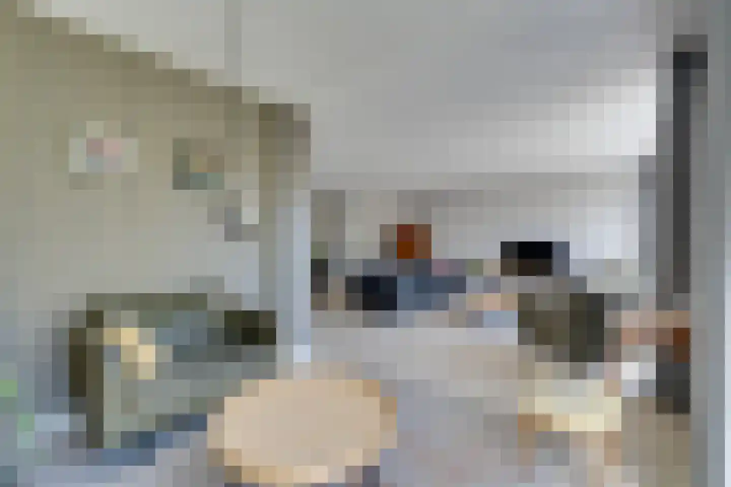 Potakker 22 Alkmaar thumbnail 15