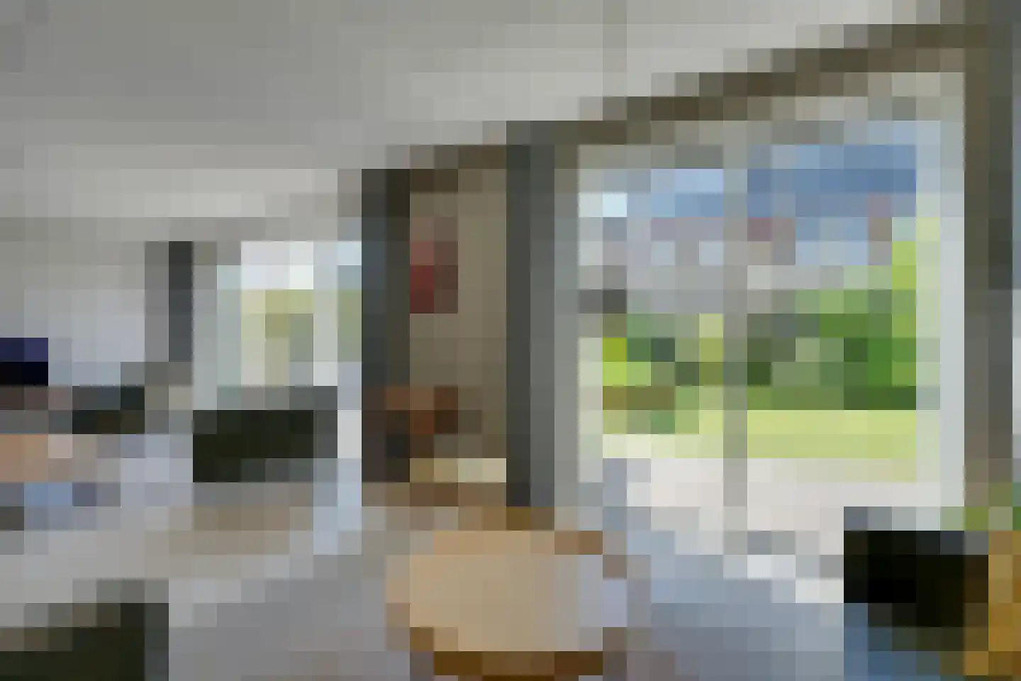 Potakker 22 Alkmaar thumbnail 16