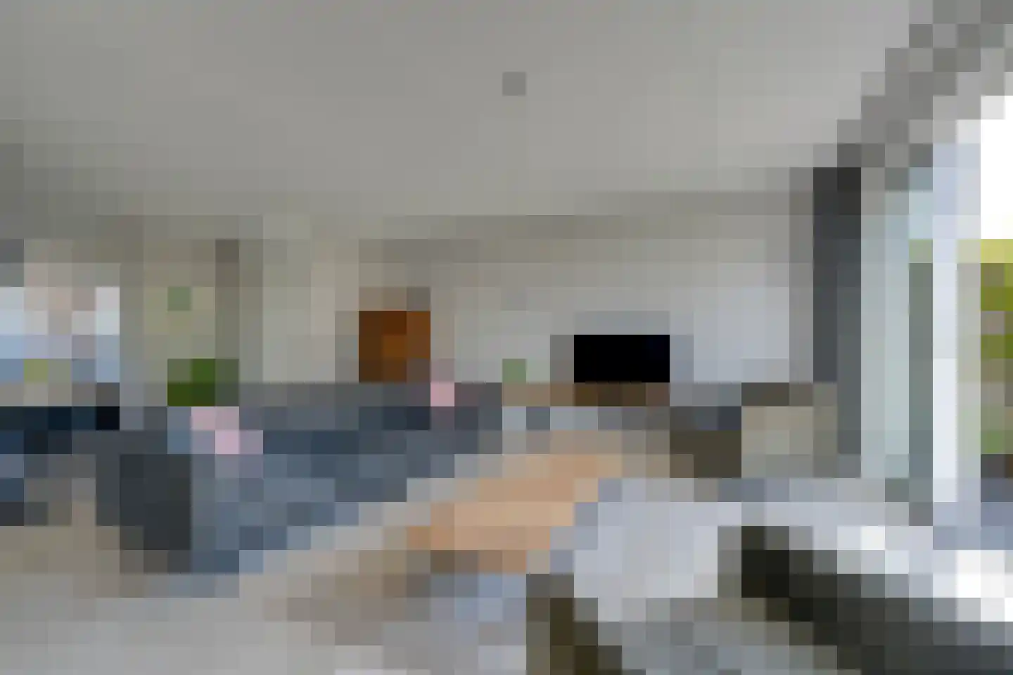 Potakker 22 Alkmaar thumbnail 17