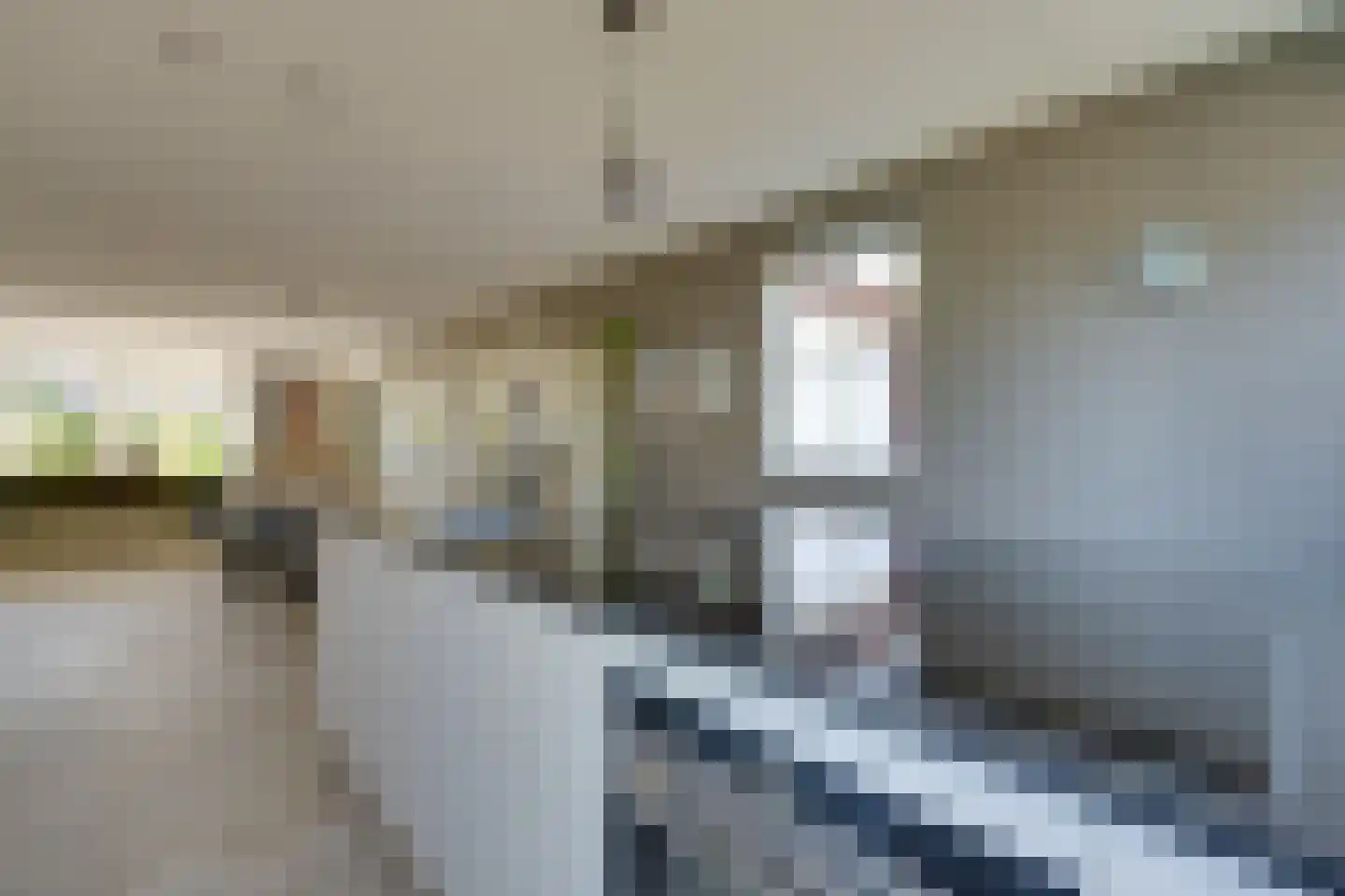 Potakker 22 Alkmaar thumbnail 26