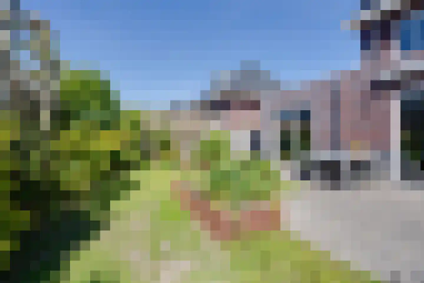 Potakker 22 Alkmaar thumbnail 28