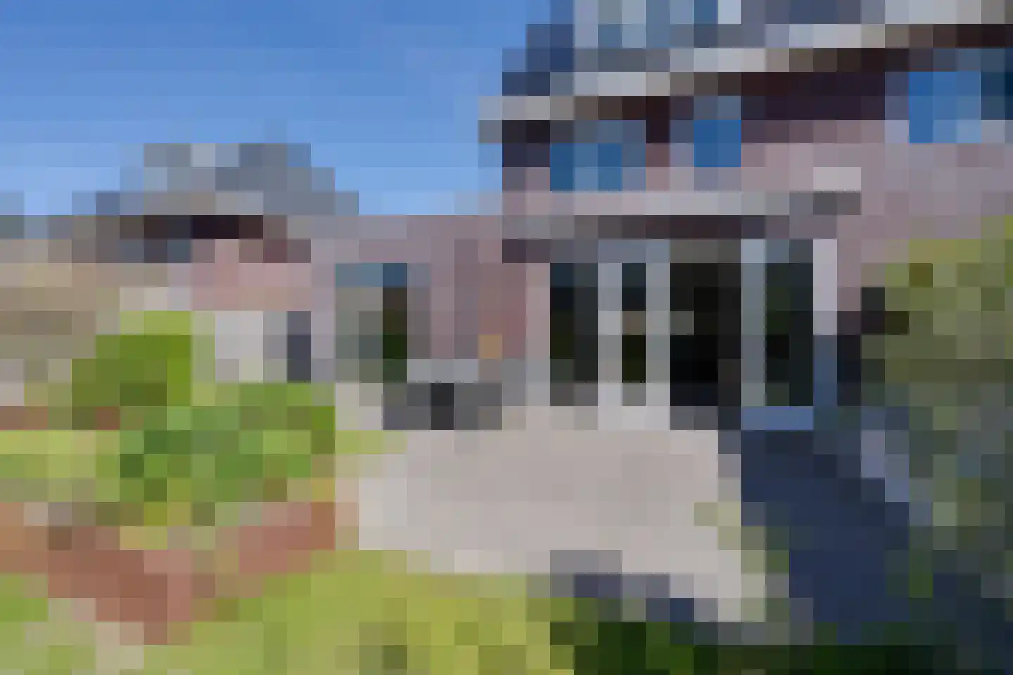 Potakker 22 Alkmaar thumbnail 29