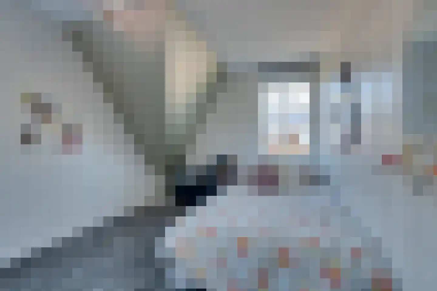 Potakker 22 Alkmaar thumbnail 36