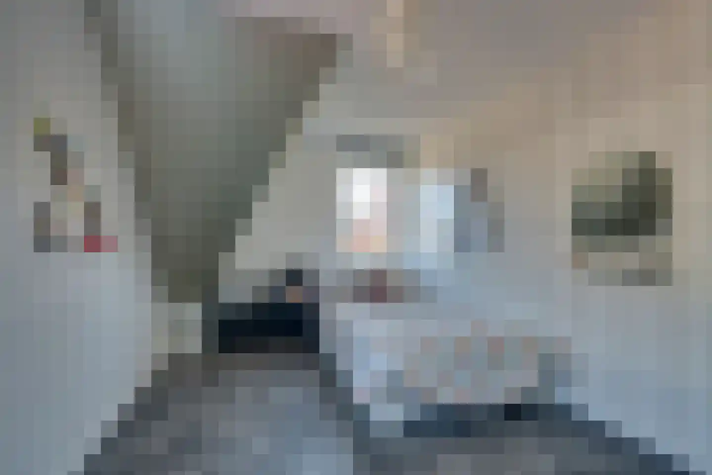 Potakker 22 Alkmaar thumbnail 38