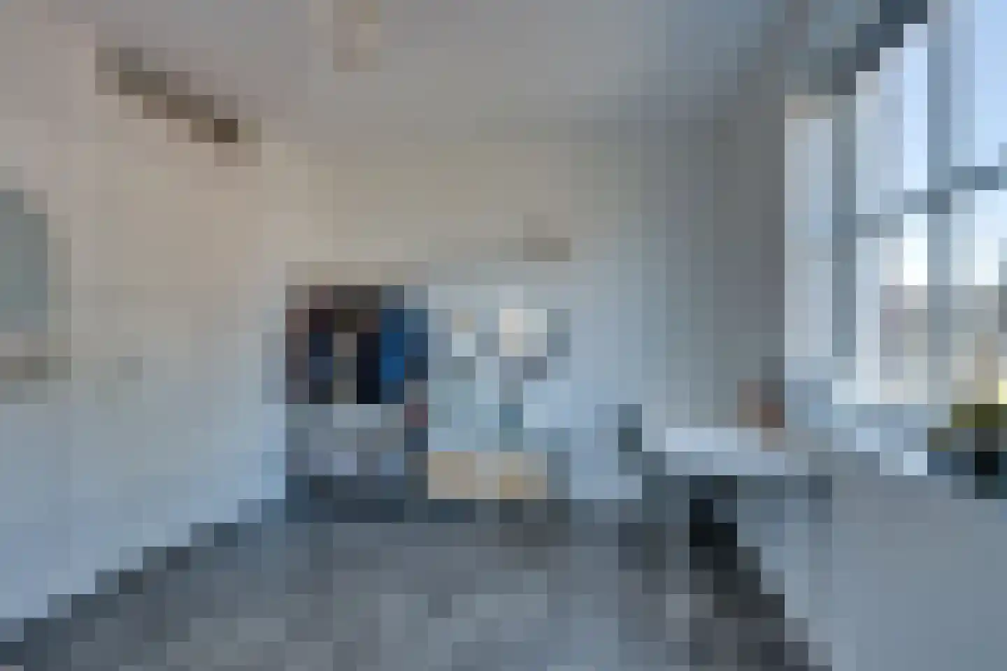 Potakker 22 Alkmaar thumbnail 39