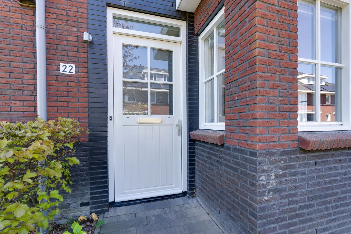 Potakker 22 Alkmaar thumbnail 4