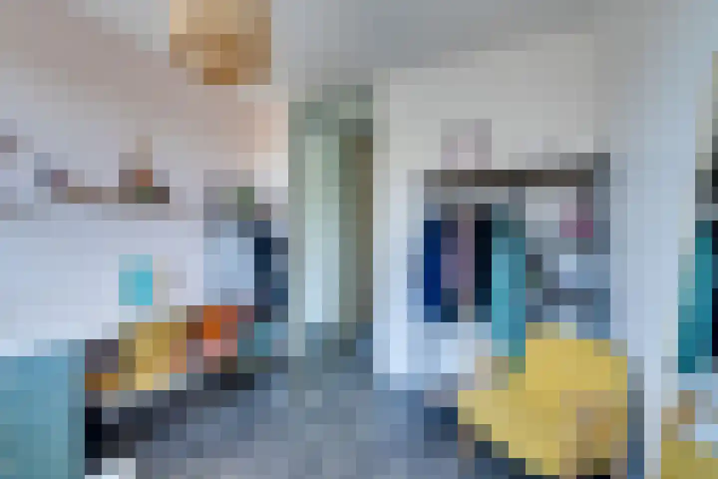 Potakker 22 Alkmaar thumbnail 42