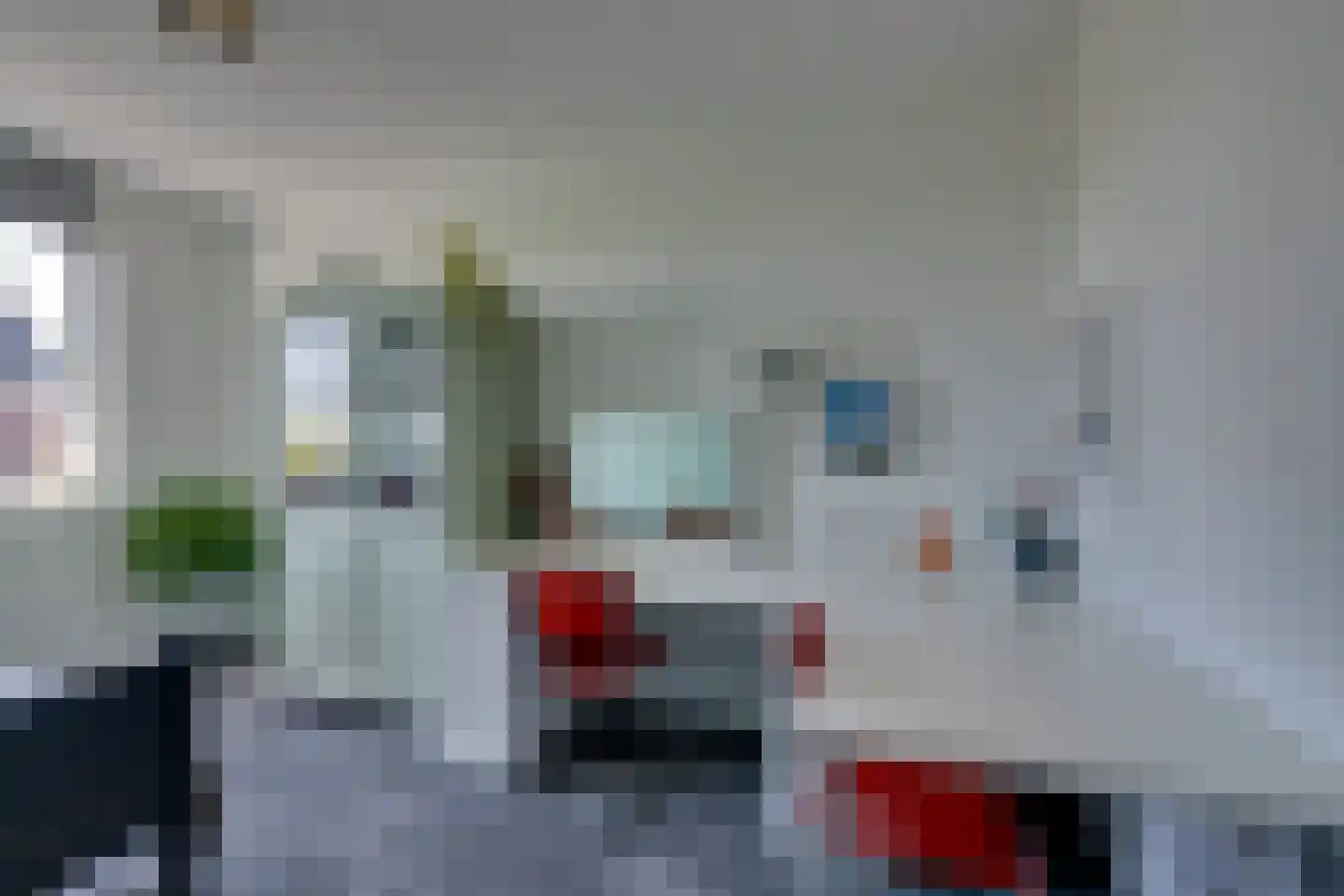 Potakker 22 Alkmaar thumbnail 43