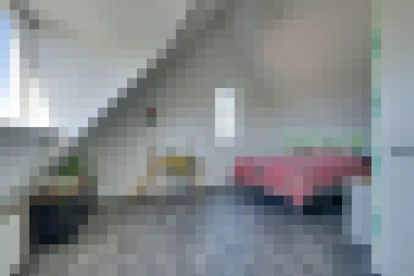 Potakker 22 Alkmaar thumbnail 50